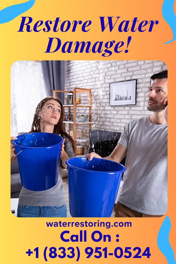 water restoration Sentinel Extraction & Associates Weston