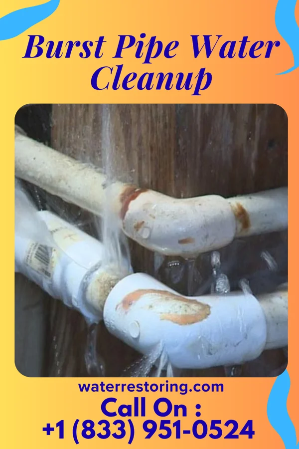 Burst Pipe Water Cleanup in Weston, NJ
