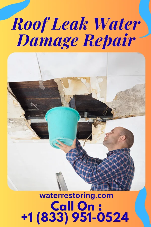 Roof Leak Water Damage Repair in Weston, NJ