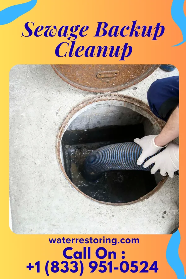 Sewage Backup Cleanup in Weston, NJ